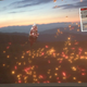 Image for article titled Getting Up Close and Personal with Square Enix's New Engine Blew My Mind
